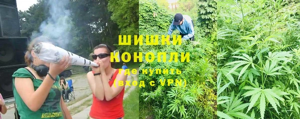 spice Богородицк