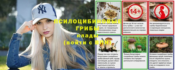 spice Богородицк